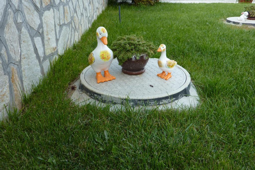 קופריבשטיצה Guest House H Dzhogolanov מראה חיצוני תמונה